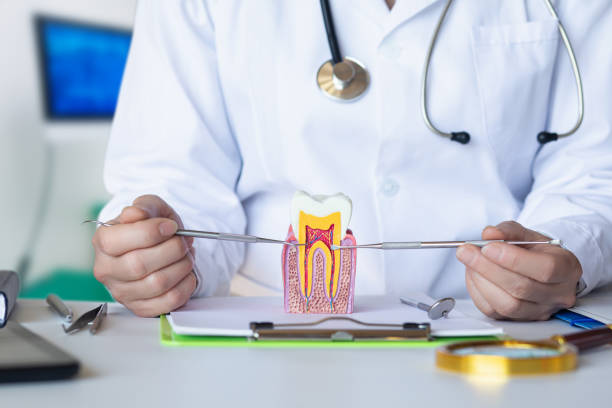 Best Emergency Dental Care for Abscessed Tooth in Enon, VA
